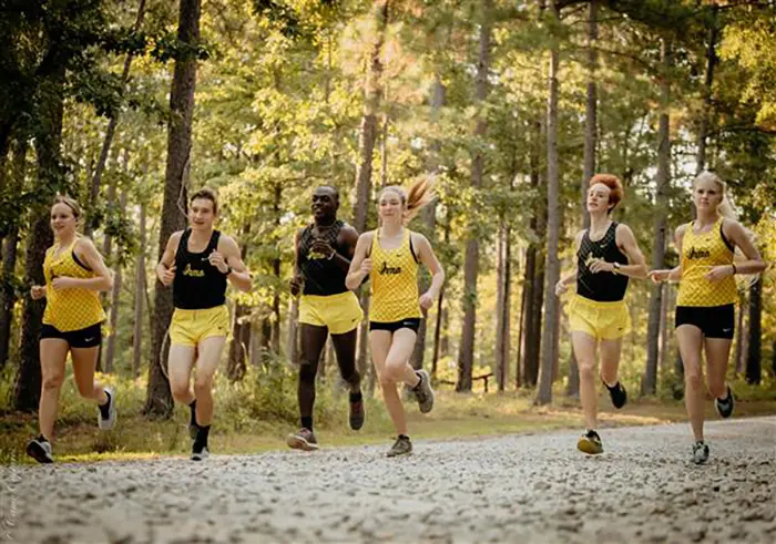 irmo high cross country